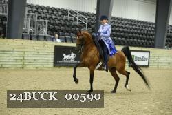 24BUCK_00590 thumbnail