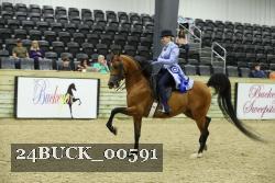 24BUCK_00591 thumbnail