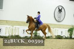 24BUCK_00599 thumbnail