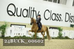 24BUCK_00602 thumbnail