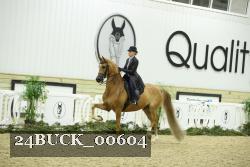 24BUCK_00604 thumbnail