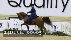 24BUCK_00605 thumbnail