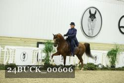 24BUCK_00606 thumbnail