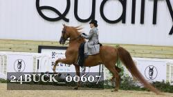 24BUCK_00607 thumbnail