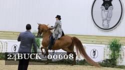 24BUCK_00608 thumbnail