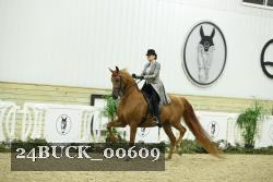 24BUCK_00609 thumbnail