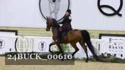 24BUCK_00610 thumbnail