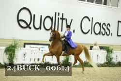 24BUCK_00614 thumbnail