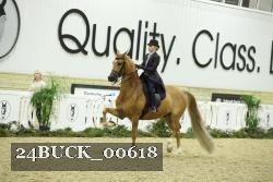 24BUCK_00618 thumbnail