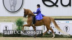 24BUCK_00621 thumbnail