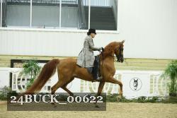 24BUCK_00622 thumbnail