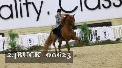 24BUCK_00623 thumbnail