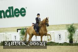 24BUCK_00624 thumbnail