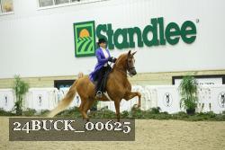 24BUCK_00625 thumbnail