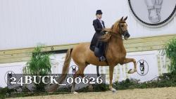24BUCK_00626 thumbnail