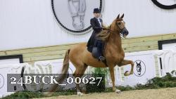 24BUCK_00627 thumbnail