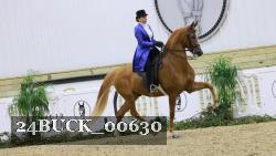 24BUCK_00630 thumbnail