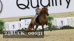 24BUCK_00631 thumbnail