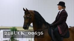 24BUCK_00636 thumbnail