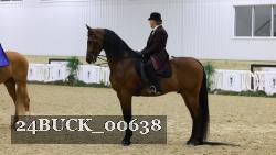 24BUCK_00638 thumbnail