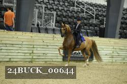 24BUCK_00644 thumbnail