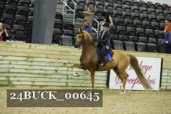 24BUCK_00645 thumbnail