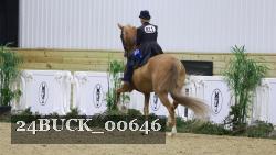24BUCK_00646 thumbnail