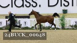 24BUCK_00648 thumbnail