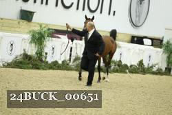 24BUCK_00651 thumbnail