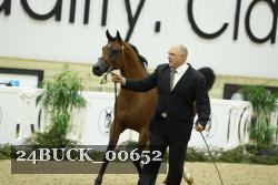 24BUCK_00652 thumbnail