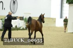 24BUCK_00655 thumbnail