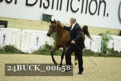 24BUCK_00658 thumbnail