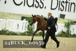 24BUCK_00659 thumbnail
