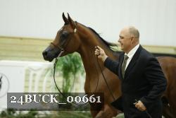 24BUCK_00661 thumbnail