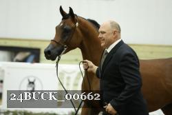 24BUCK_00662 thumbnail