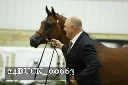 24BUCK_00663 thumbnail