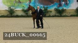 24BUCK_00665 thumbnail