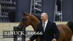 24BUCK_00666 thumbnail