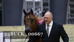 24BUCK_00667 thumbnail