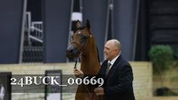 24BUCK_00669 thumbnail