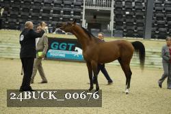 24BUCK_00676 thumbnail