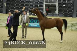 24BUCK_00678 thumbnail