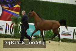 24BUCK_00684 thumbnail