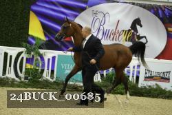 24BUCK_00685 thumbnail