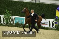 24BUCK_00686 thumbnail