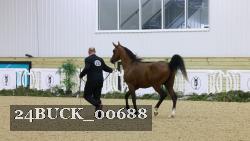 24BUCK_00688 thumbnail