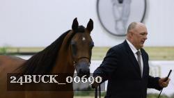 24BUCK_00690 thumbnail