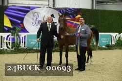 24BUCK_00693 thumbnail