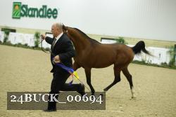 24BUCK_00694 thumbnail