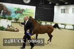 24BUCK_00695 thumbnail